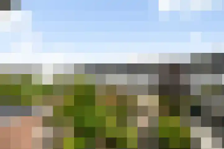 Kampioensingel 31 Den Haag thumbnail 48