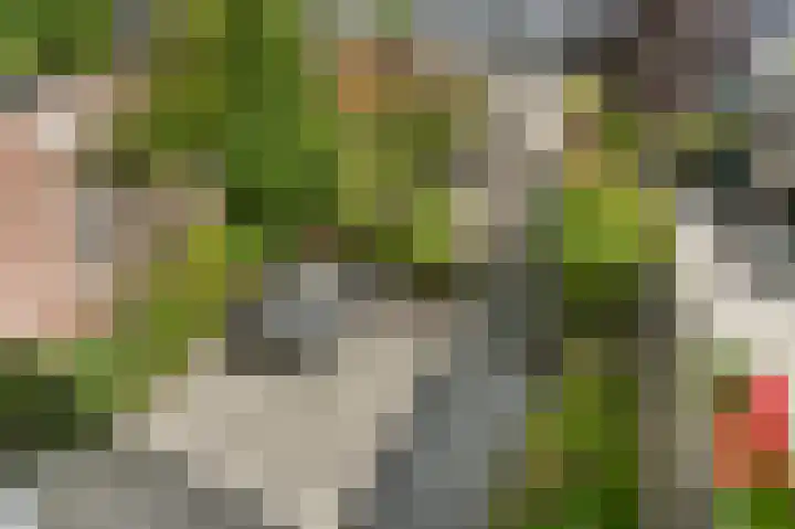 Kampioensingel 31 Den Haag thumbnail 52