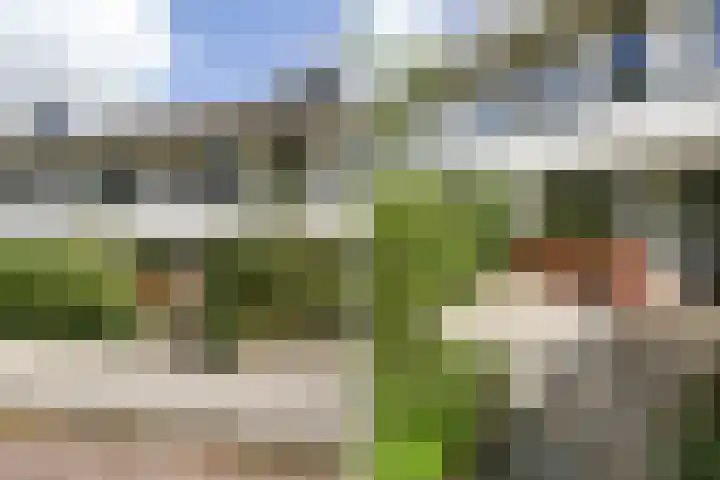 Kampioensingel 31 Den Haag thumbnail 54
