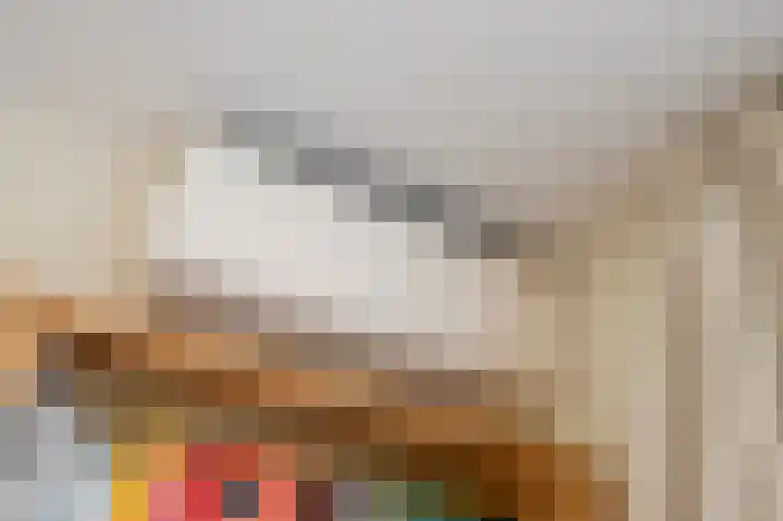 Kampioensingel 31 Den Haag thumbnail 7