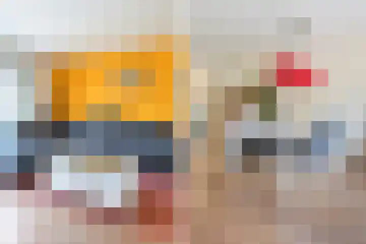 Kampioensingel 31 Den Haag thumbnail 8