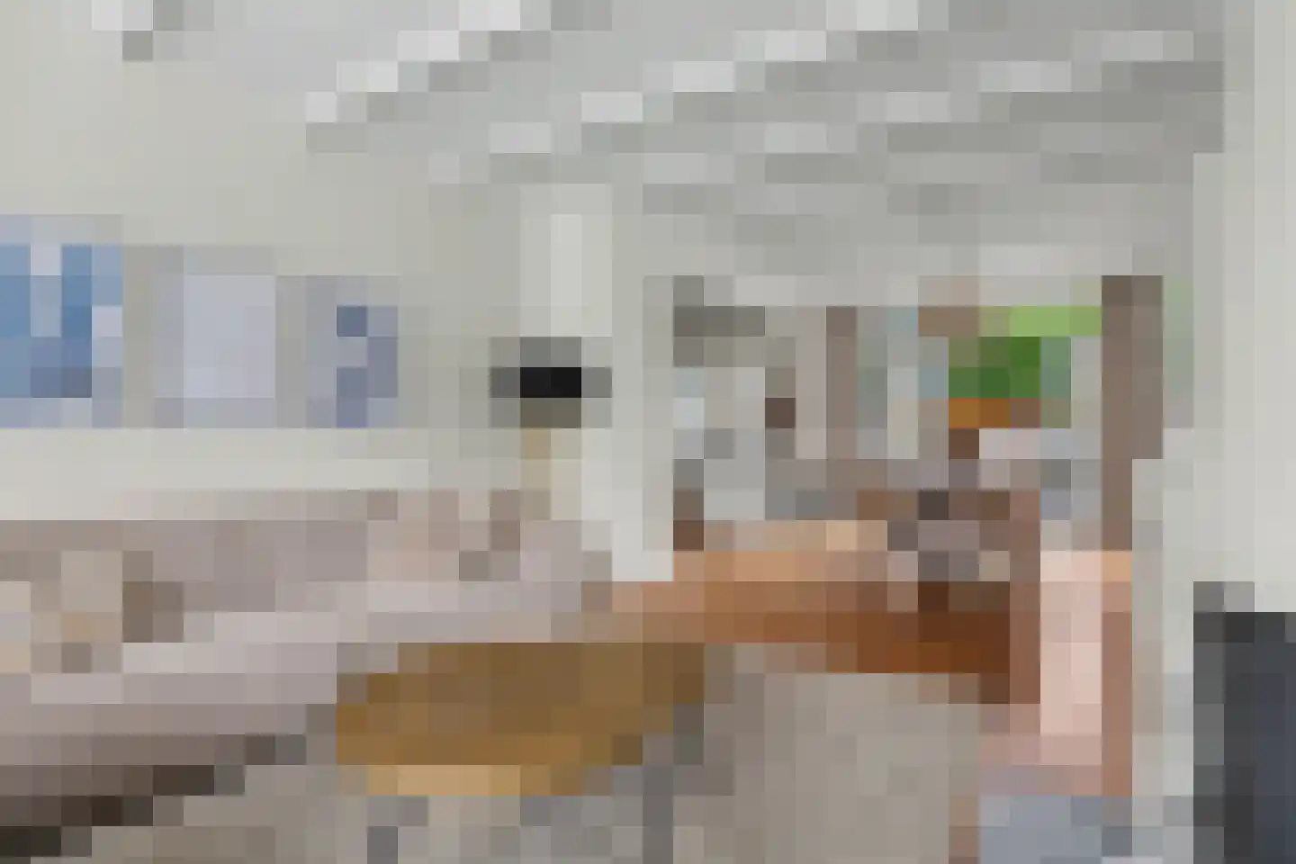 Kampioenstraat 21 Enschede thumbnail 9