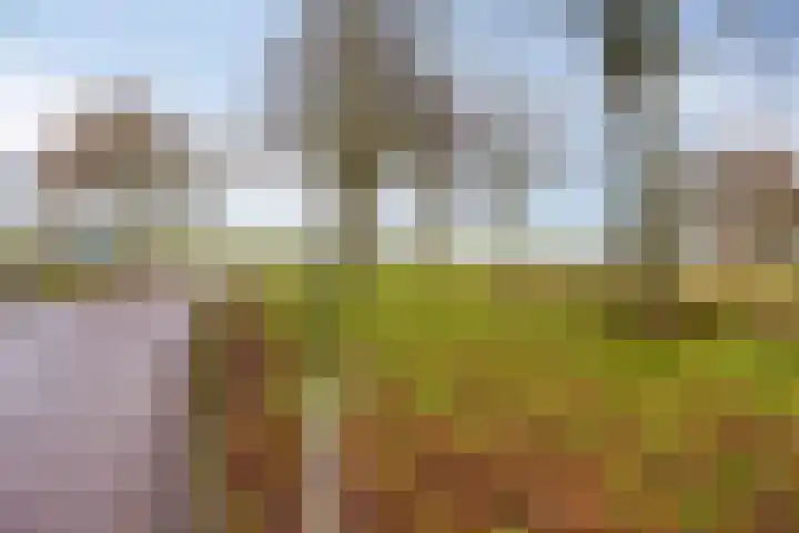 Kampioenstraat 27 Enschede thumbnail 8