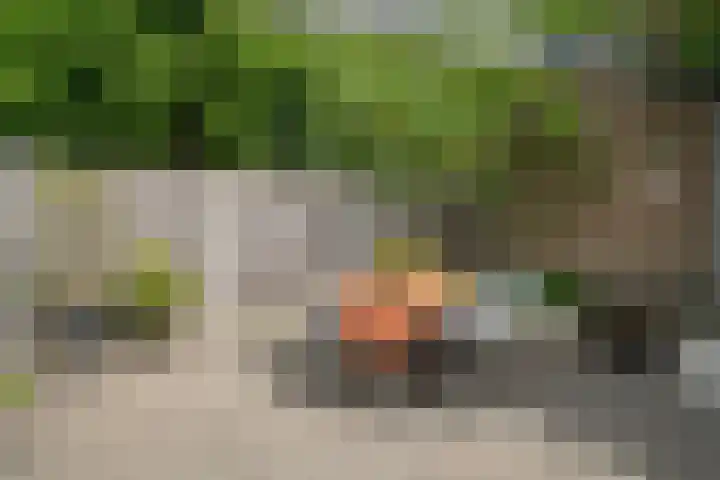 Kampioenstraat 43 Enschede thumbnail 33