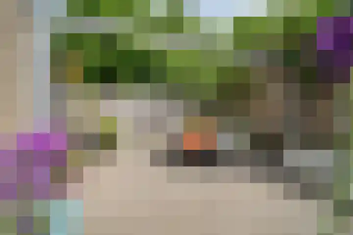 Kampioenstraat 43 Enschede thumbnail 4