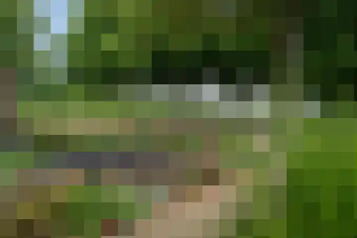 Kampioenstraat 43 Enschede thumbnail 41