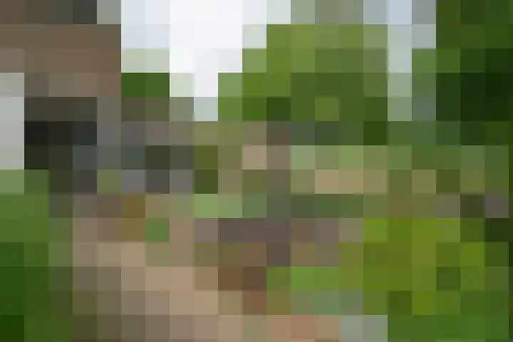 Kampioenstraat 43 Enschede thumbnail 42