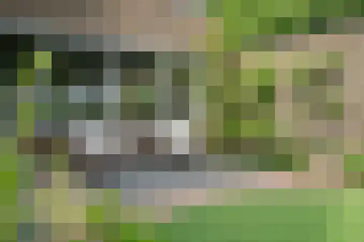 Kampioenstraat 43 Enschede thumbnail 6