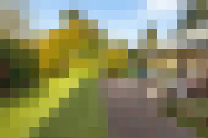 Kamplaan 1 Wezep thumbnail 32