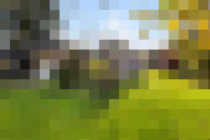 Kamplaan 1 Wezep thumbnail 35