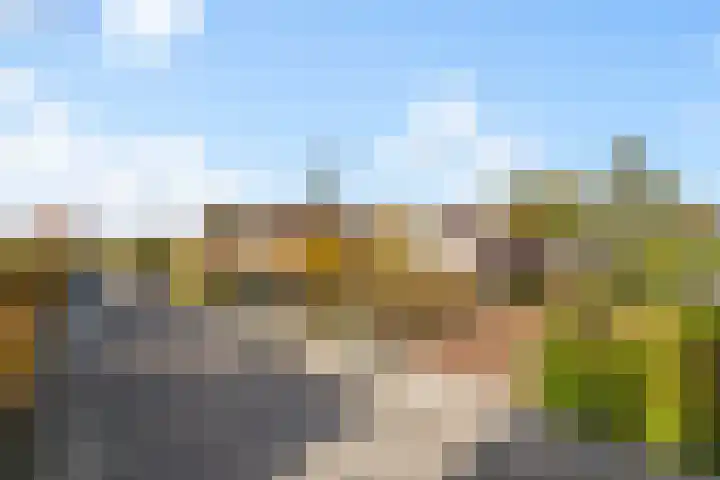 Kamplaan 1 Wezep thumbnail 4