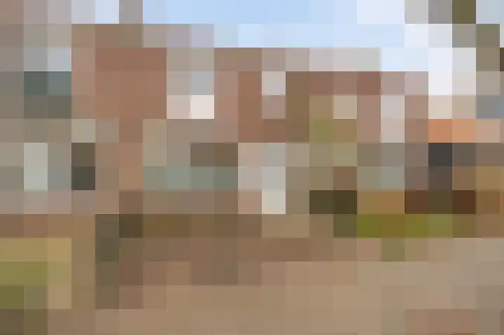 Kamplaan 12 Luttelgeest