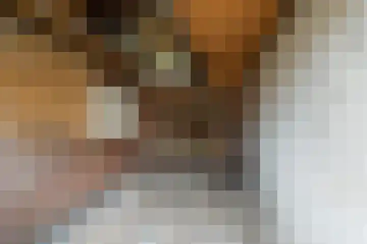 Kamplaan 12 Luttelgeest thumbnail 23