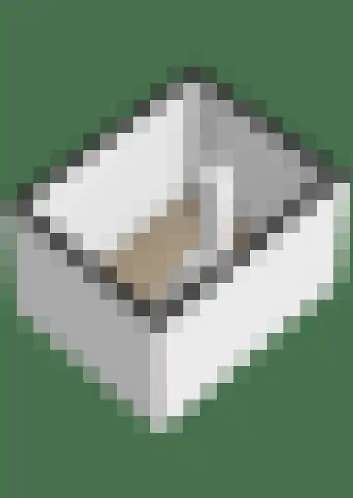 Kamplaan 12 Luttelgeest thumbnail 43