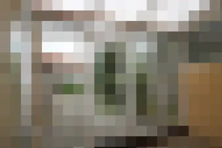 Kamplaan 14 Luttelgeest thumbnail 11