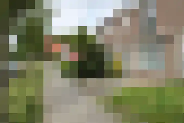 Kamplaan 14 Luttelgeest thumbnail 24