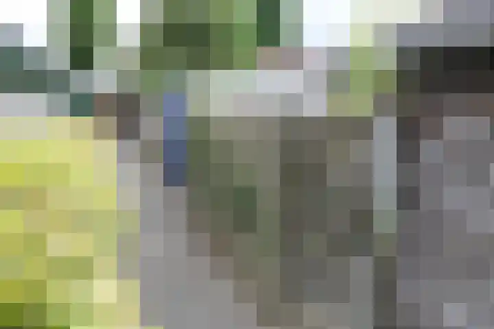 Kamplaan 14 Luttelgeest thumbnail 26