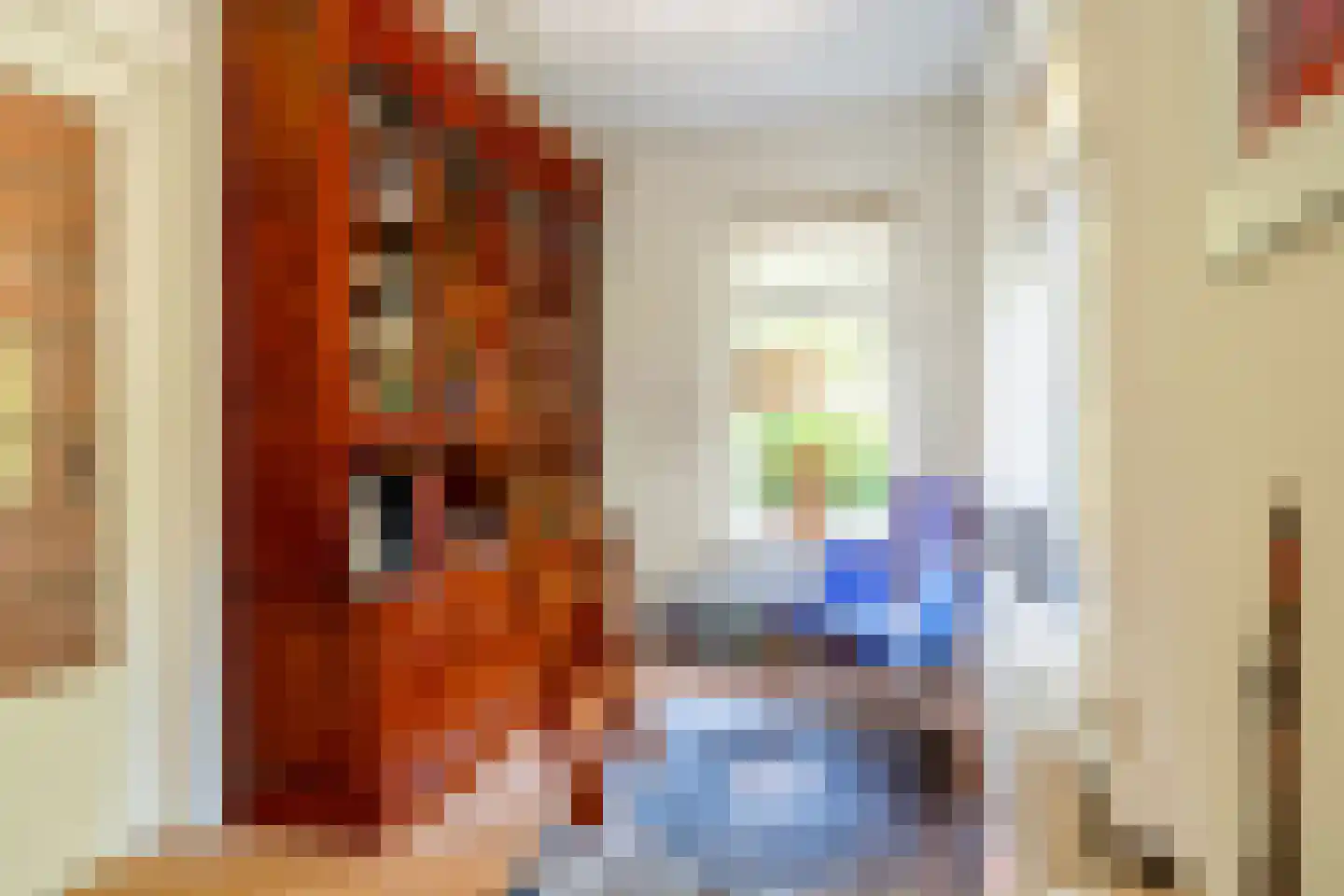 Kamplaan 6 Groningen thumbnail 20