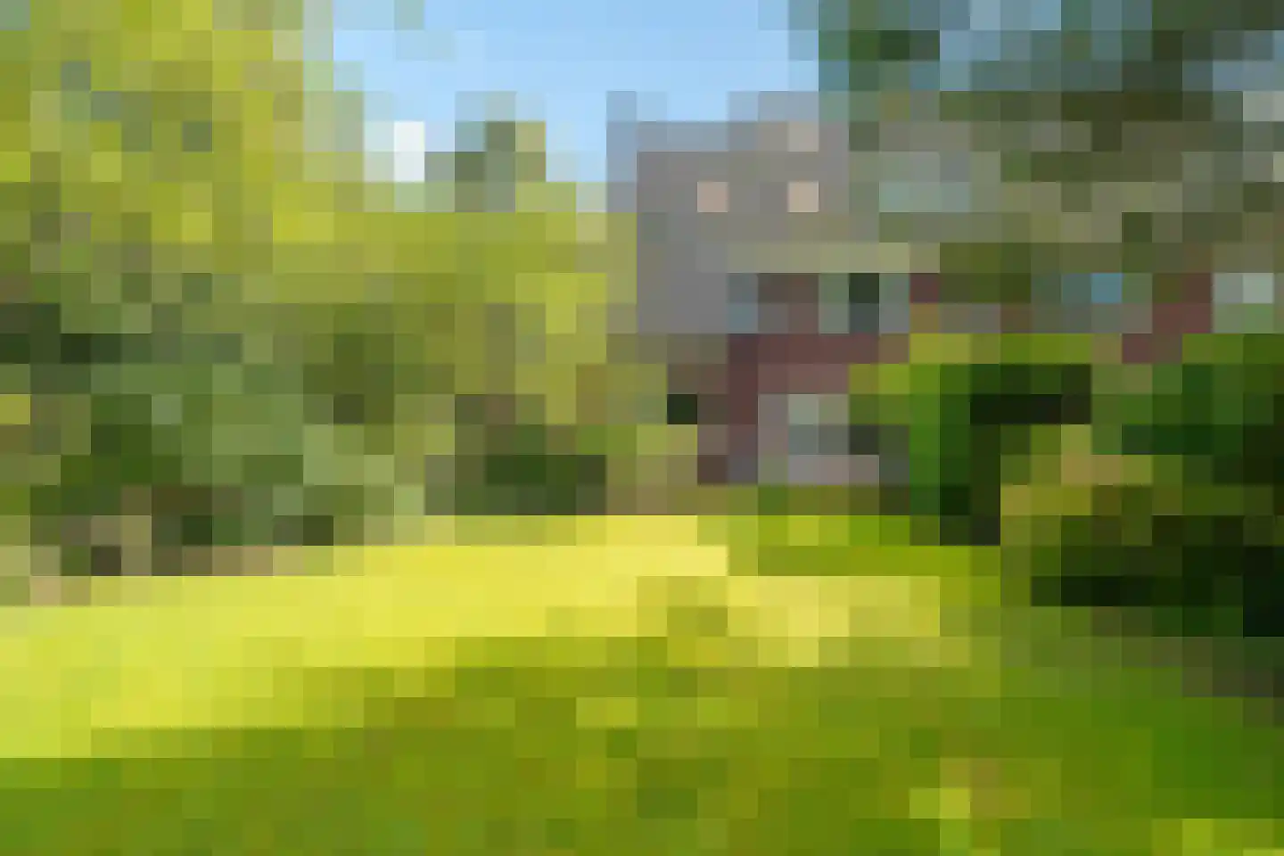 Kamplaan 6 Groningen thumbnail 5