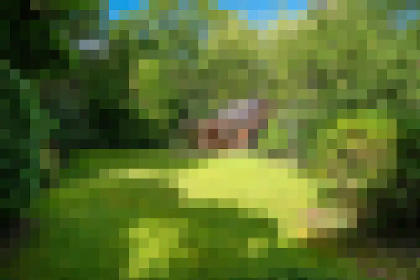 Kamplaan 6 Groningen thumbnail 6