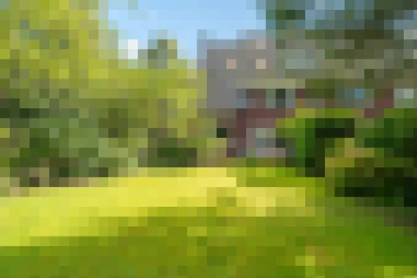 Kamplaan 6 Groningen thumbnail 72