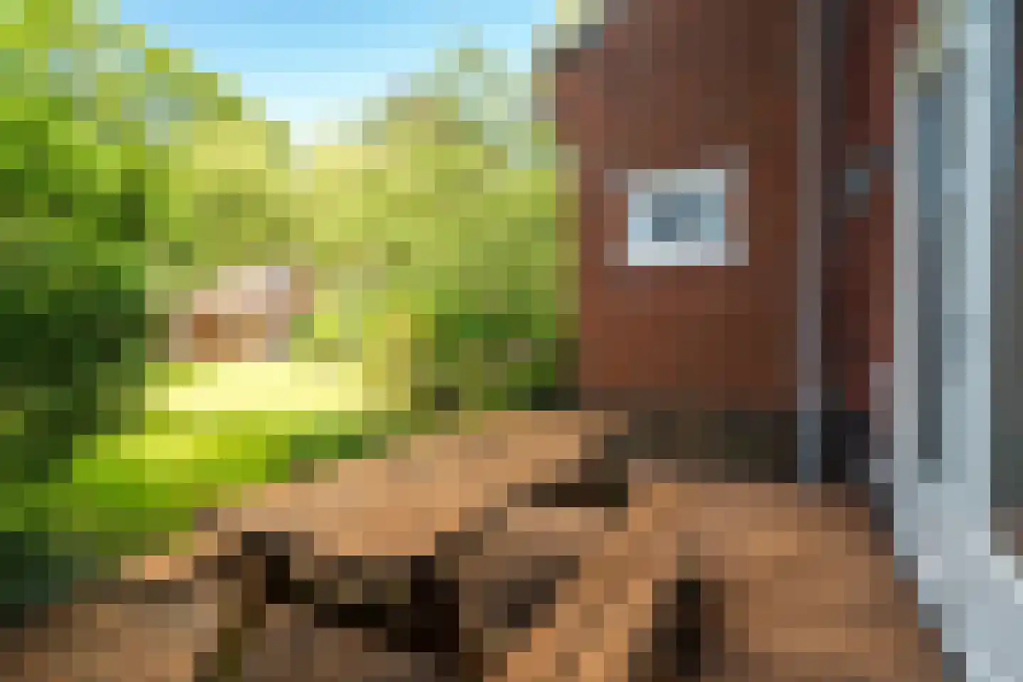 Kamplaan 6 Groningen thumbnail 73