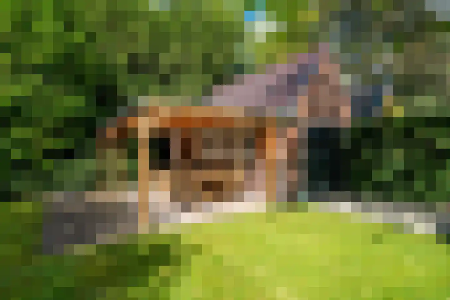 Kamplaan 6 Groningen thumbnail 76