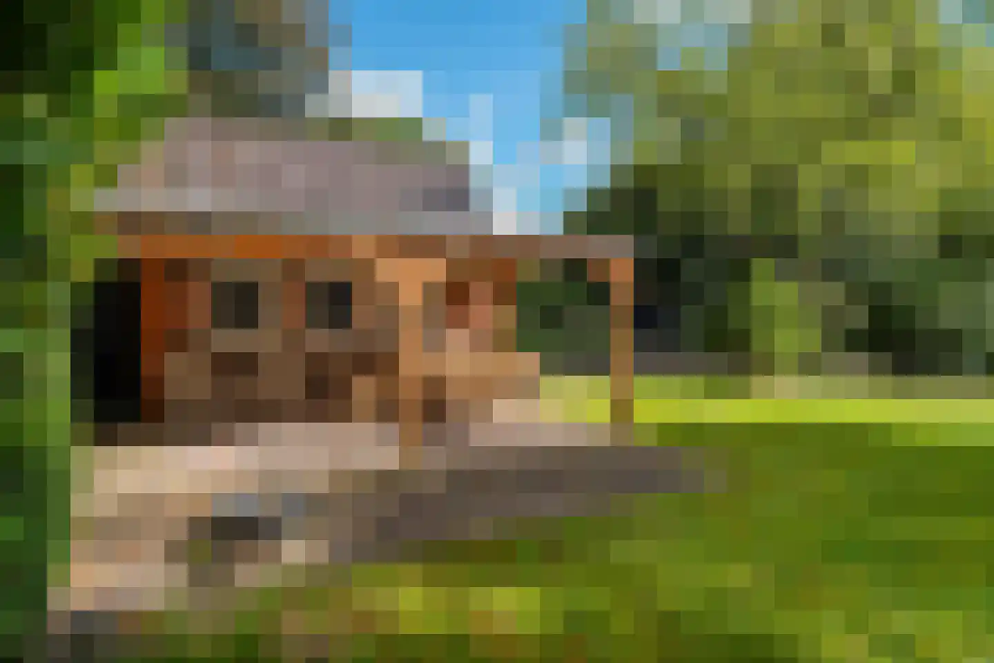 Kamplaan 6 Groningen thumbnail 77