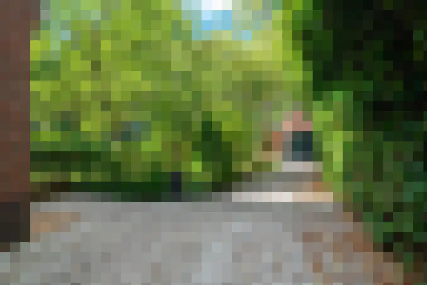 Kamplaan 6 Groningen thumbnail 79