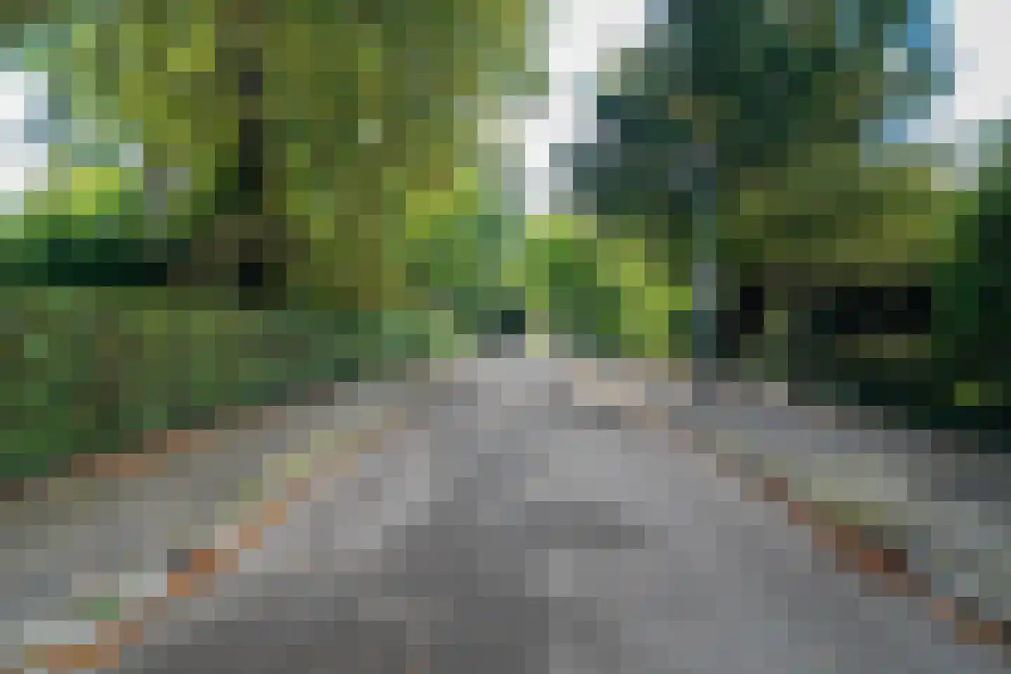 Kamplaan 6 Groningen thumbnail 88