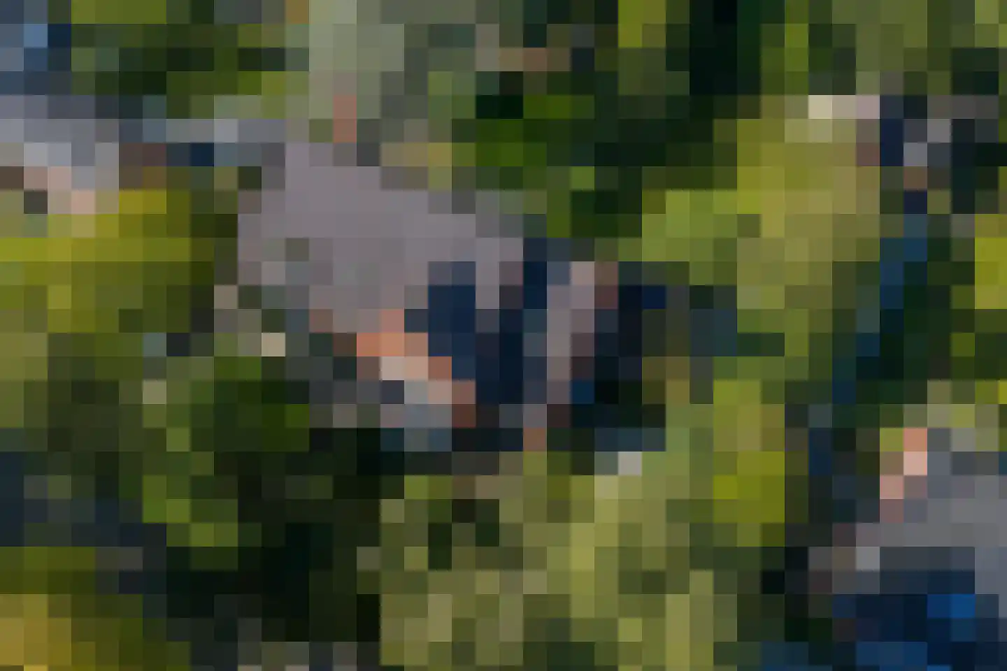 Kamplaan 6 Groningen thumbnail 89