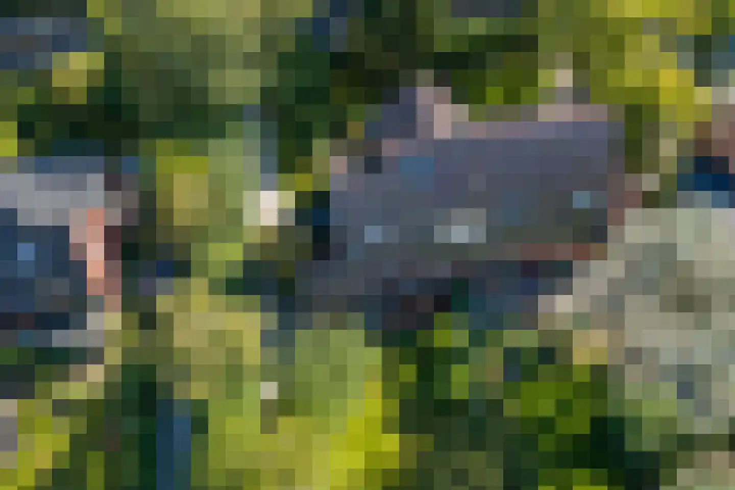 Kamplaan 6 Groningen thumbnail 90