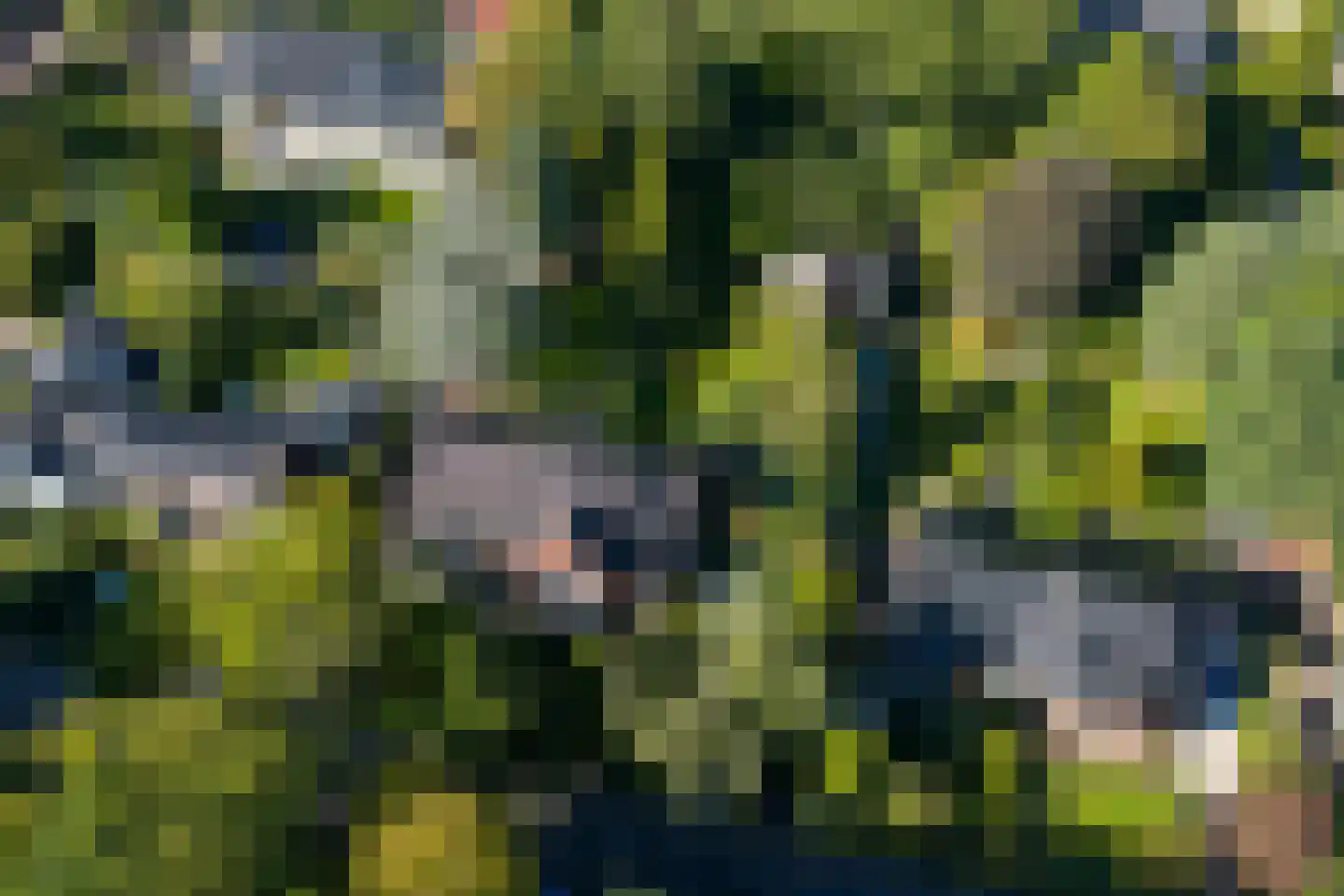 Kamplaan 6 Groningen thumbnail 91