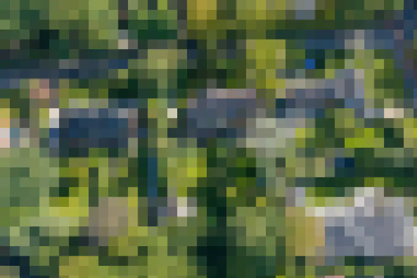 Kamplaan 6 Groningen thumbnail 92