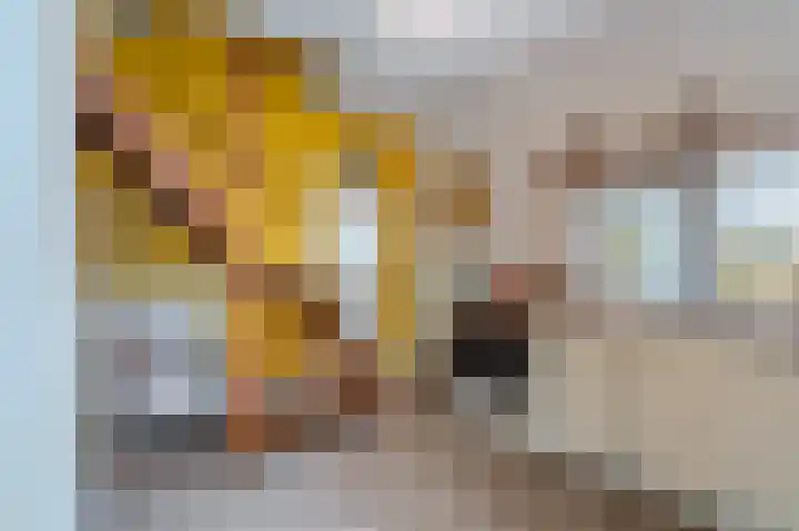 Kamplaan 7 Heiligerlee thumbnail 4