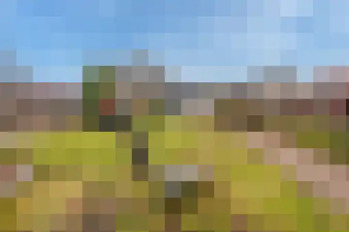 Kamplaan 7 Heiligerlee thumbnail 40