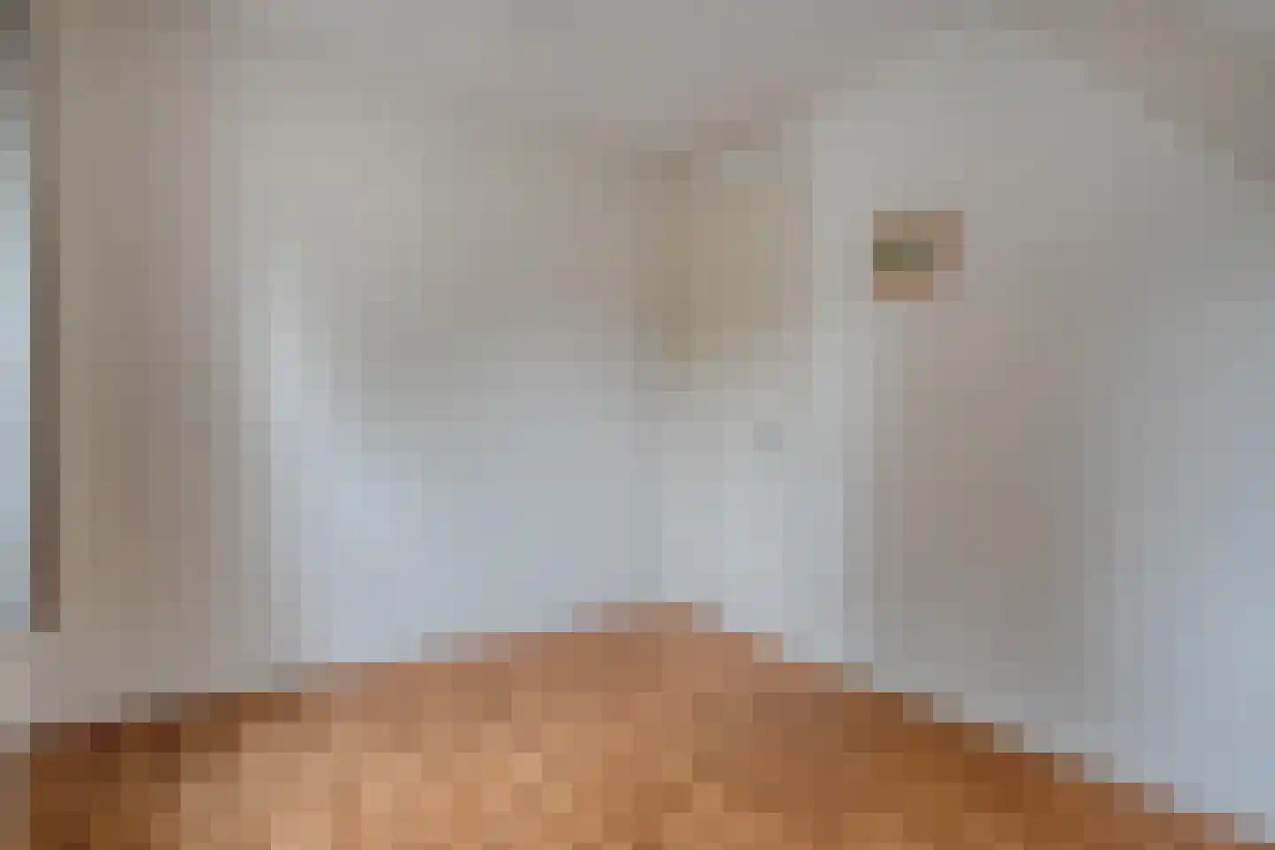 Kampmansweg 35 Dalfsen thumbnail 34
