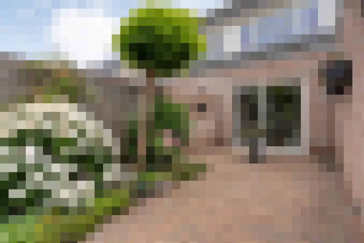 Kampmansweg 35 Dalfsen thumbnail 41