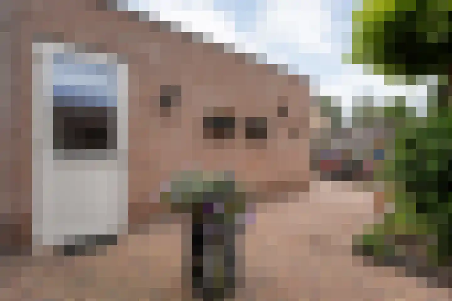 Kampmansweg 35 Dalfsen thumbnail 42