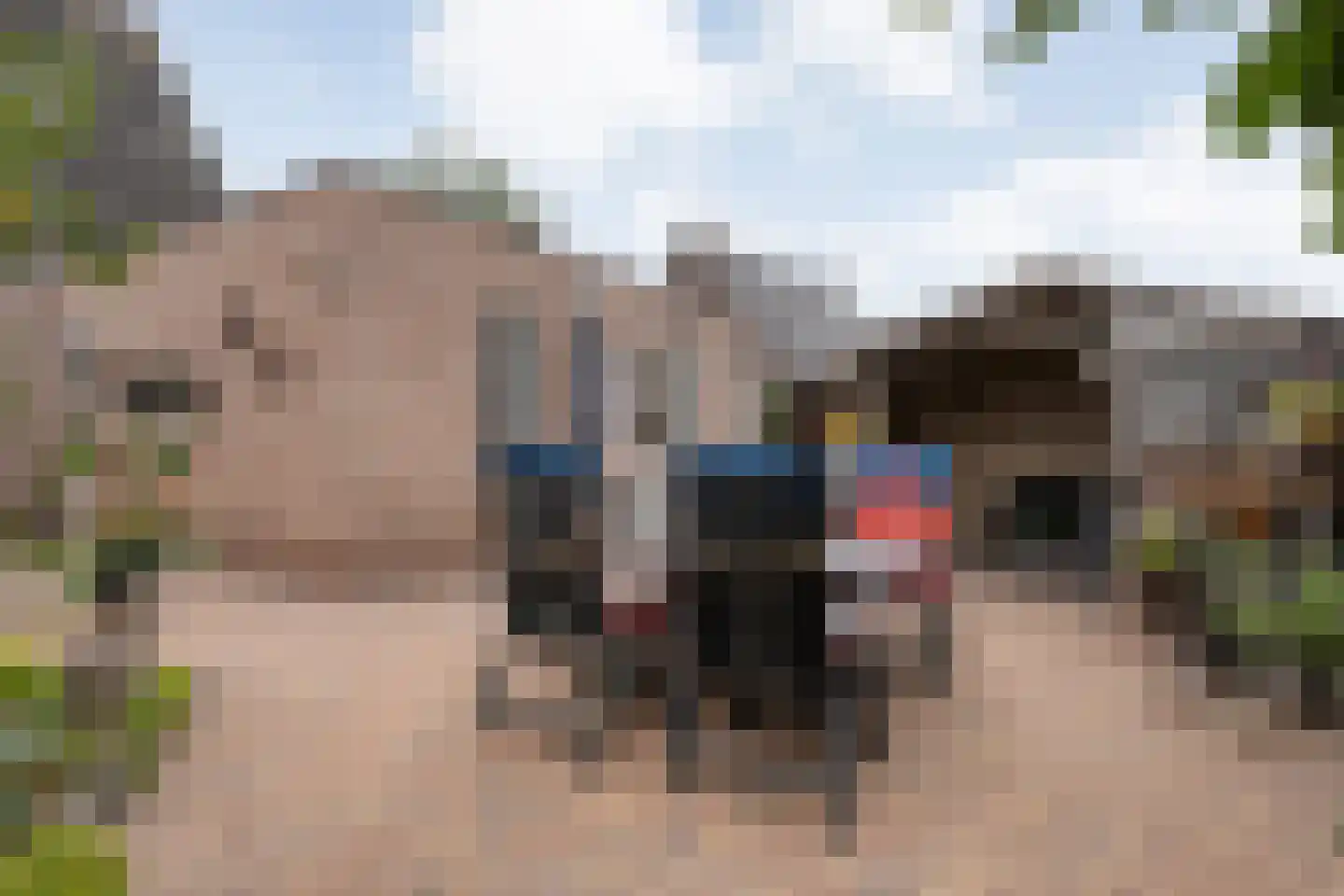 Kampmansweg 35 Dalfsen thumbnail 44