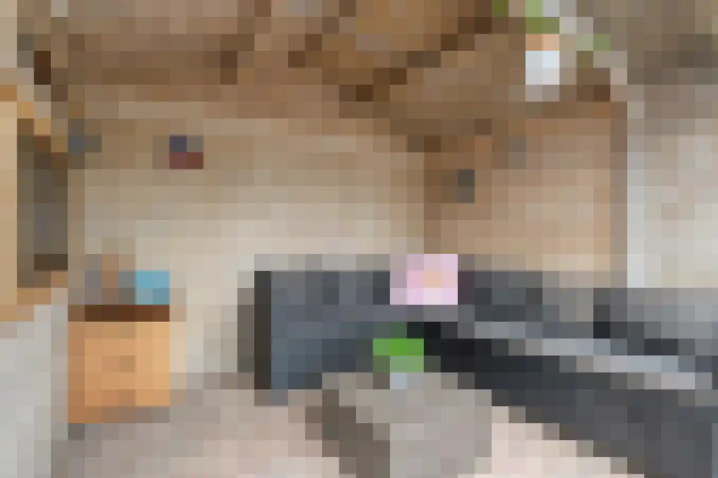 Kampmansweg 35 Dalfsen thumbnail 47