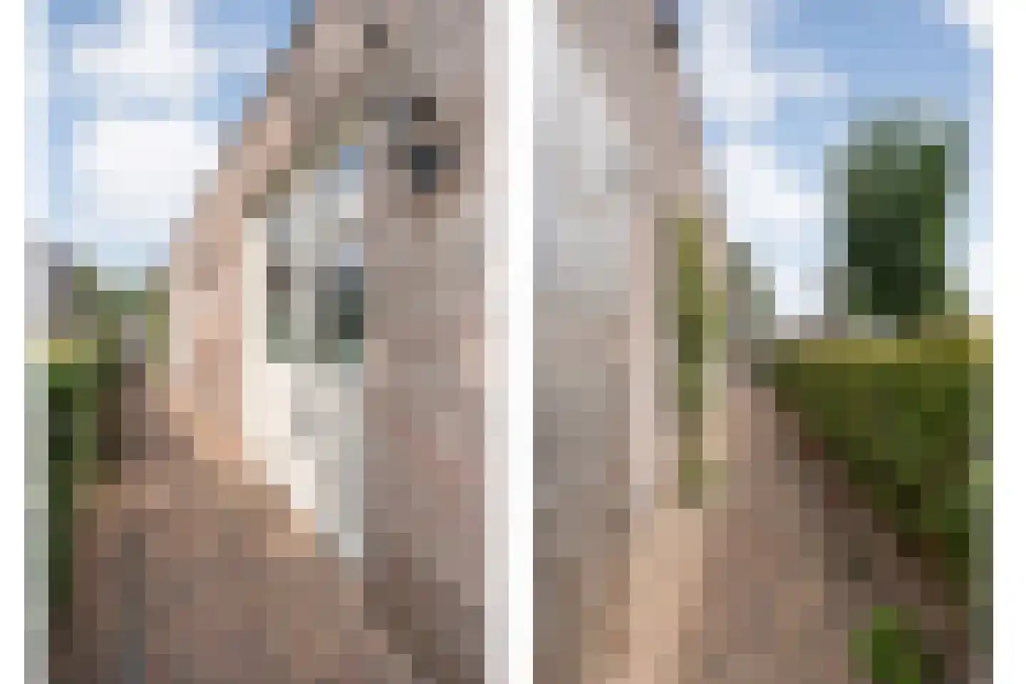 Kampmansweg 35 Dalfsen thumbnail 51