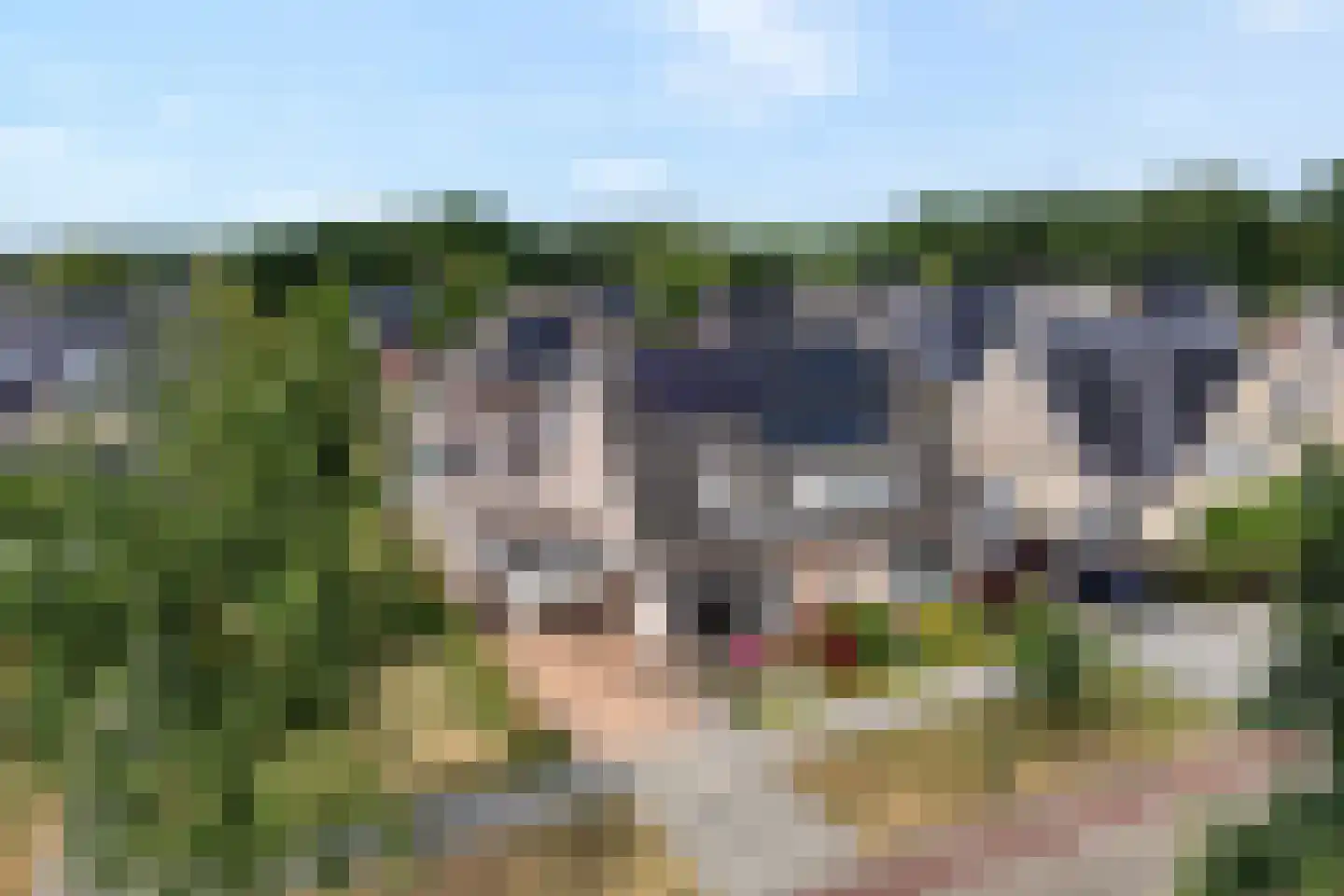 Kampmansweg 35 Dalfsen thumbnail 56