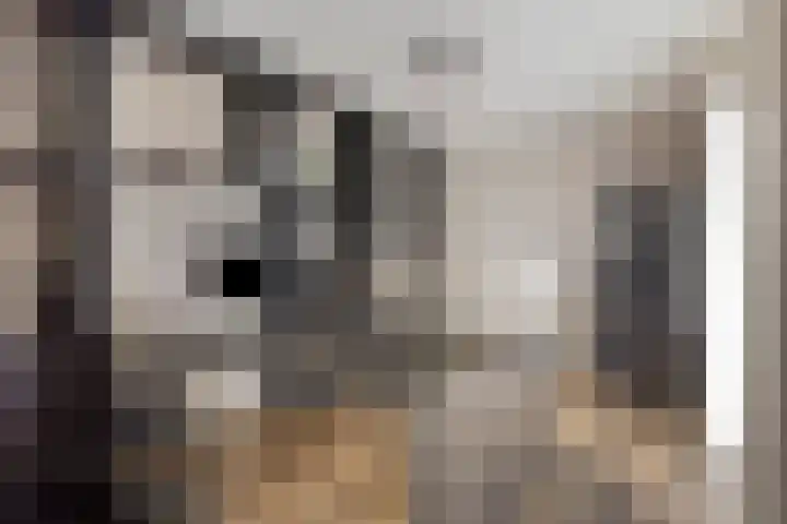 Kamprechter 10 Oss thumbnail 10