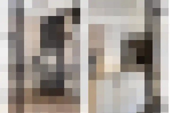 Kamprechter 10 Oss thumbnail 11