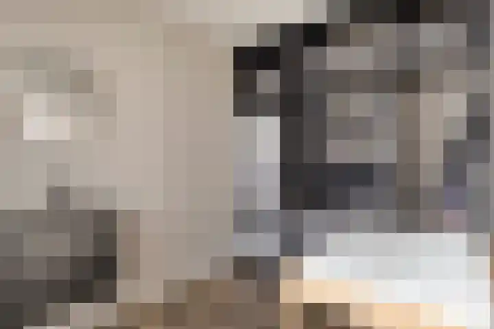 Kamprechter 10 Oss thumbnail 12