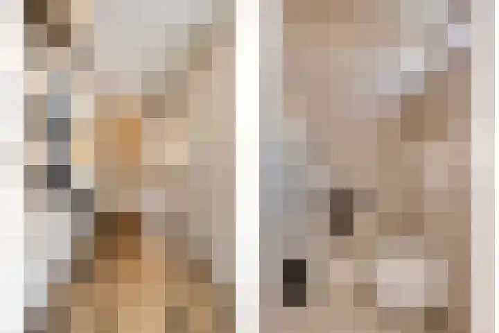 Kamprechter 10 Oss thumbnail 13