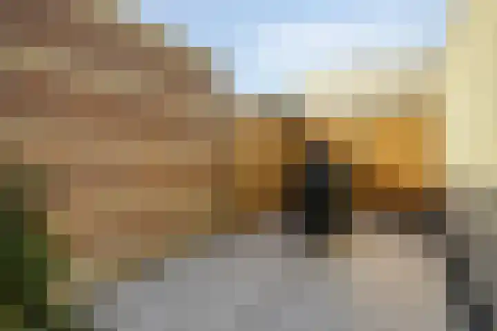 Kamprechter 10 Oss thumbnail 25