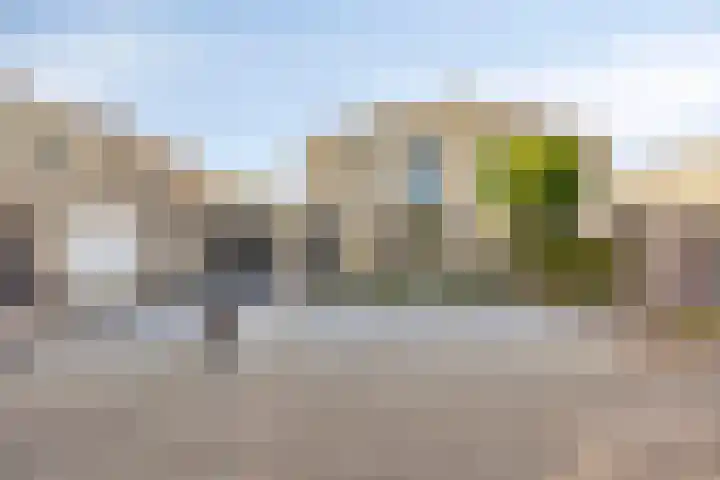 Kamprechter 10 Oss thumbnail 26