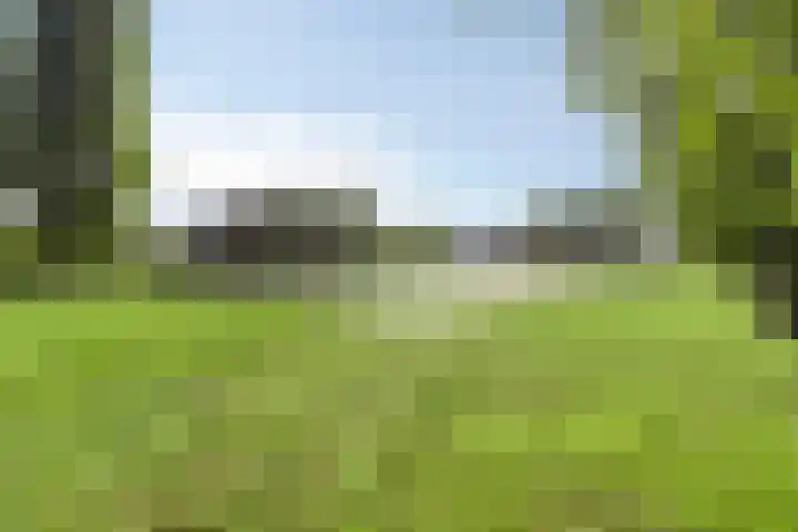 Kamprechter 10 Oss thumbnail 28